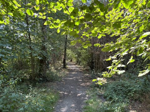 wijkpark